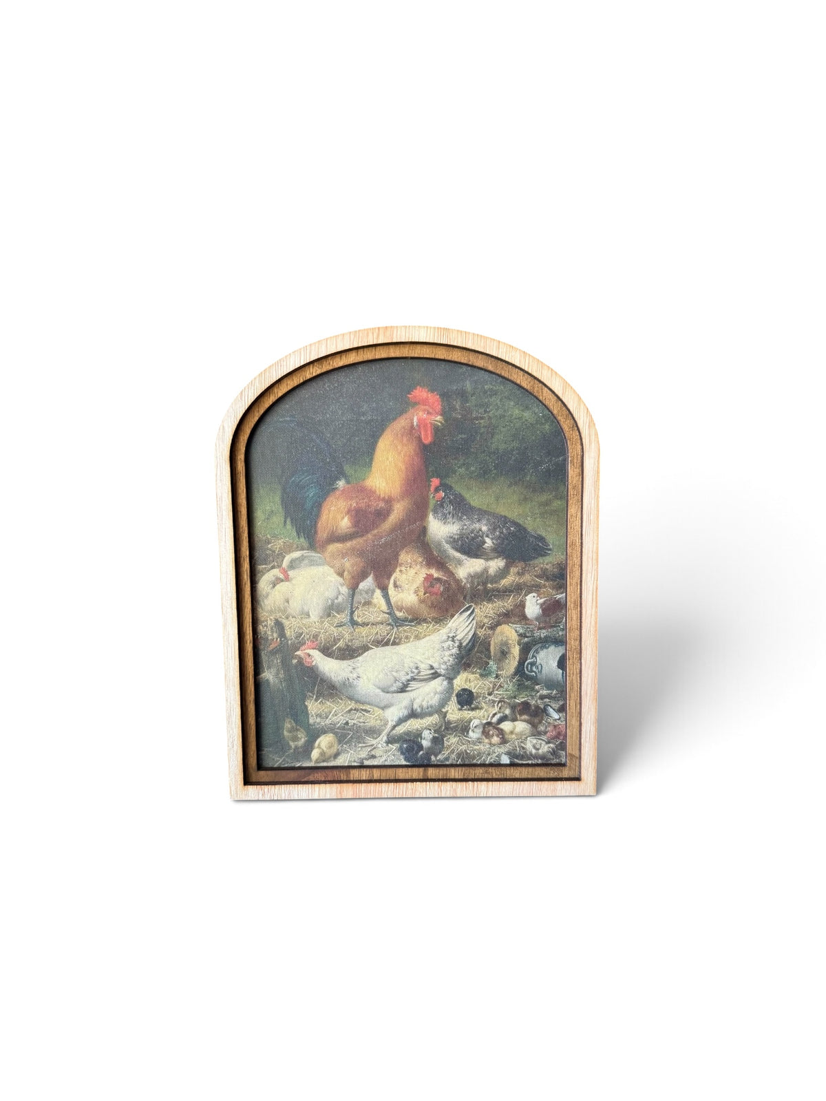 Framed Canvas Print- Farm Chicken Friends
