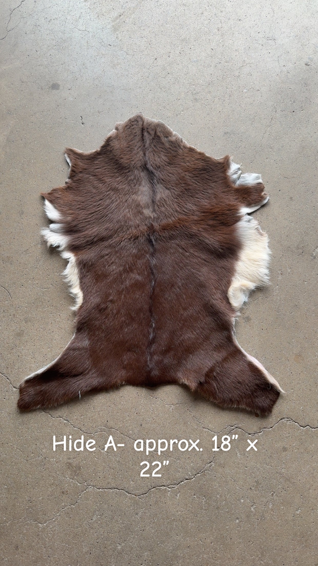 Goat Hide A