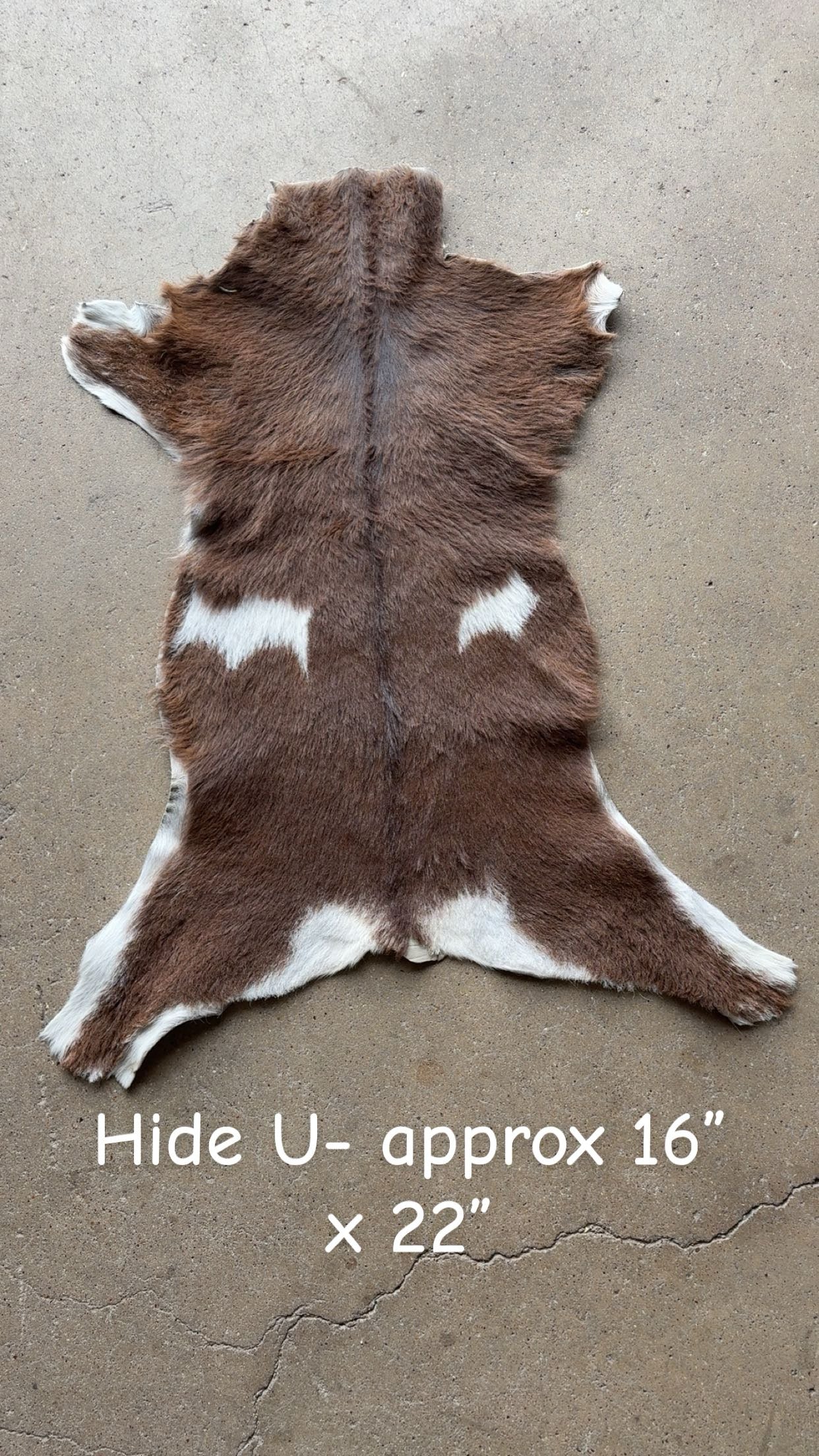 Goat Hide U