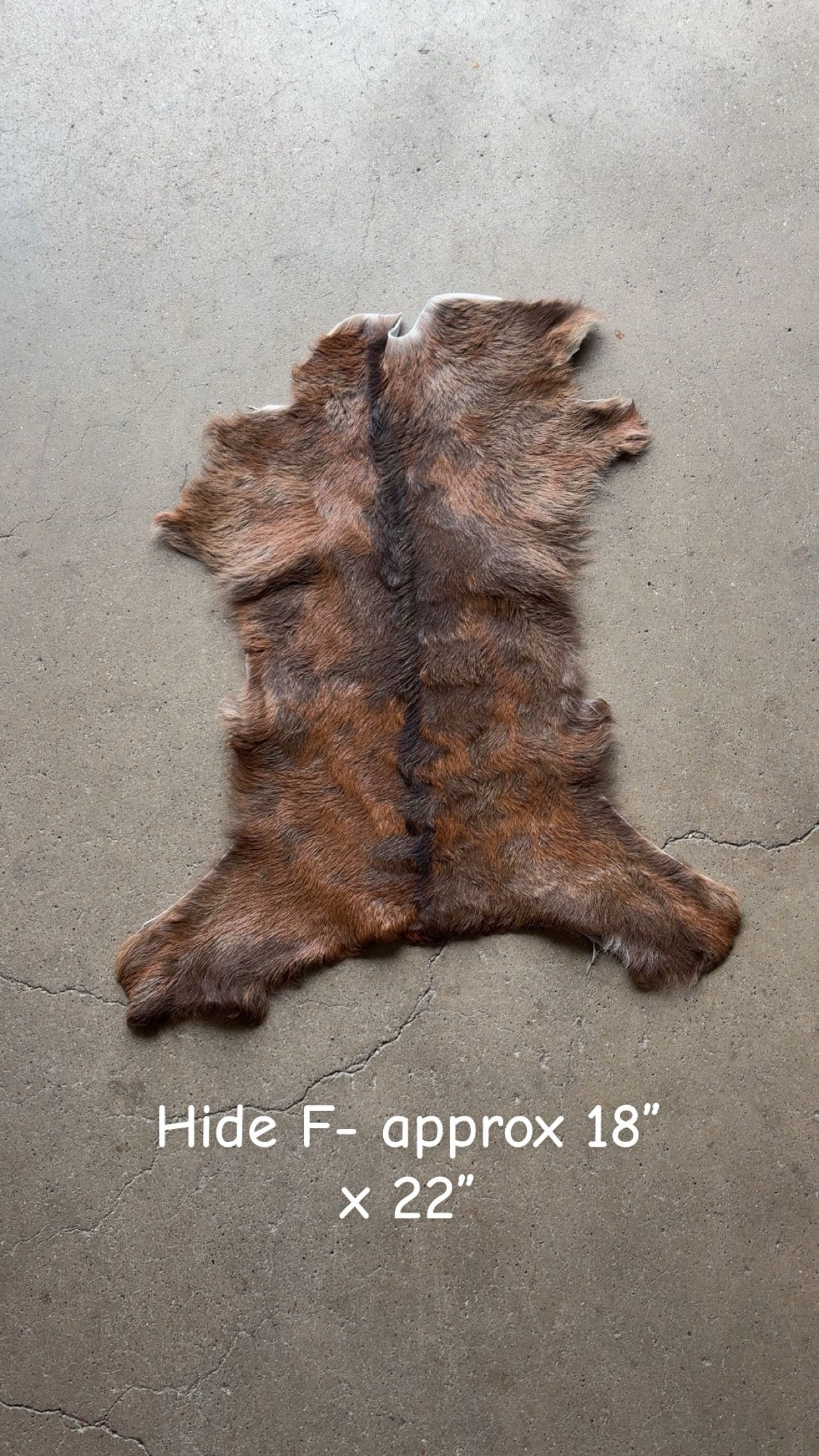 Goat Hide F