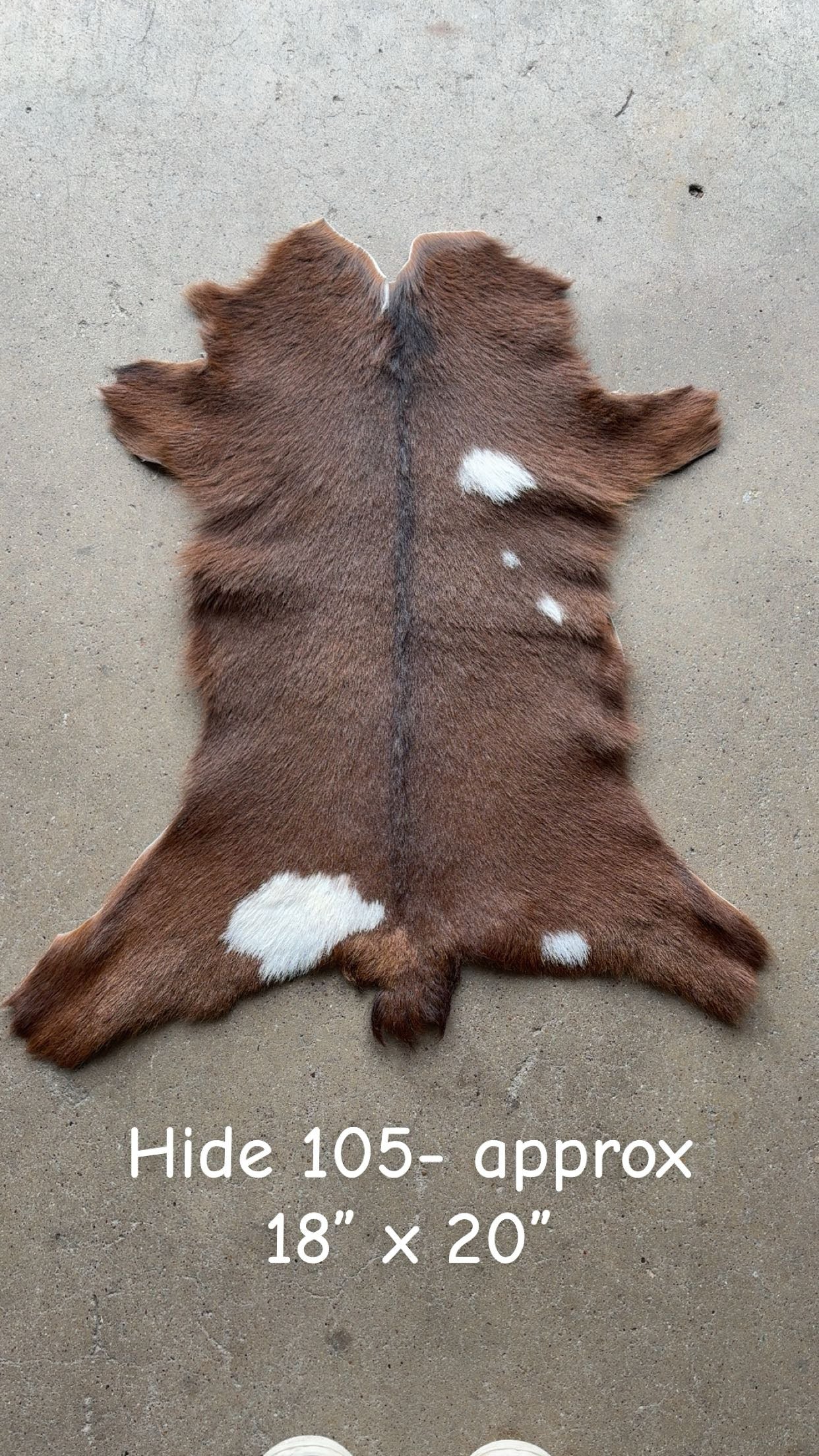 Goat Hide 105
