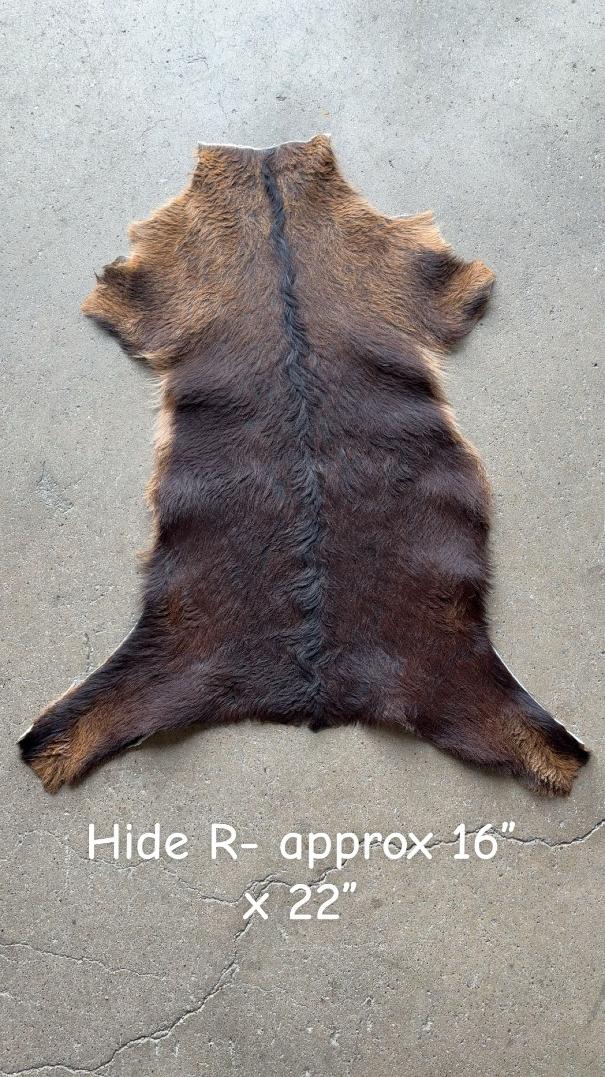 Goat Hide R