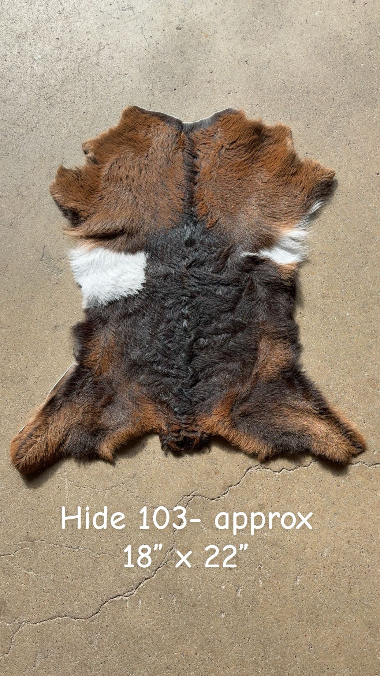 Goat Hide 103