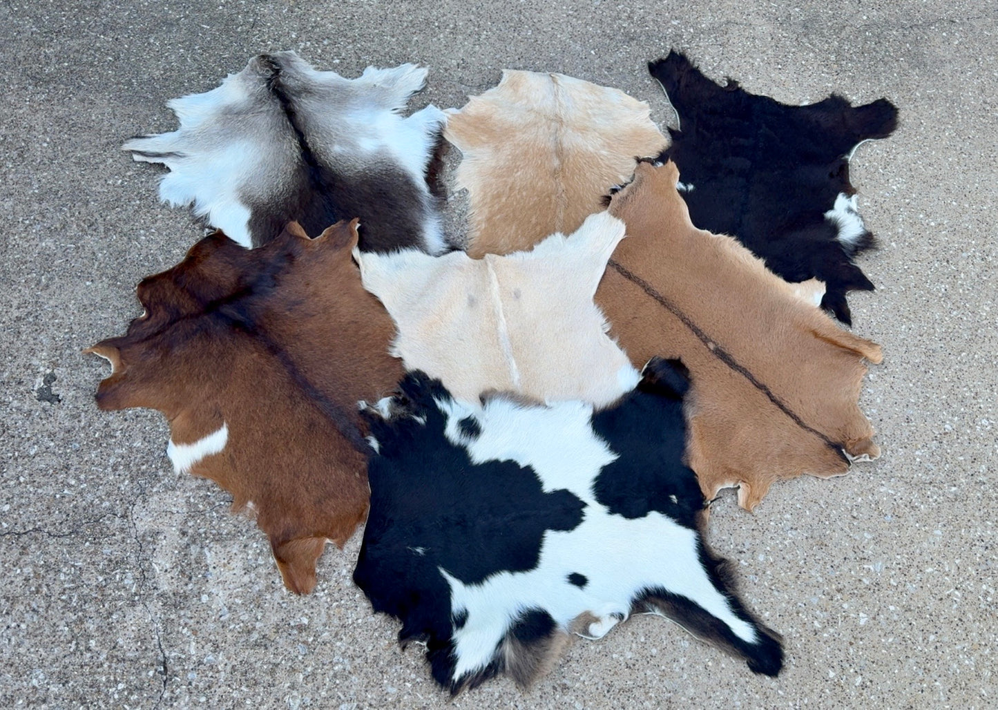 Assorted Small Goat Hide