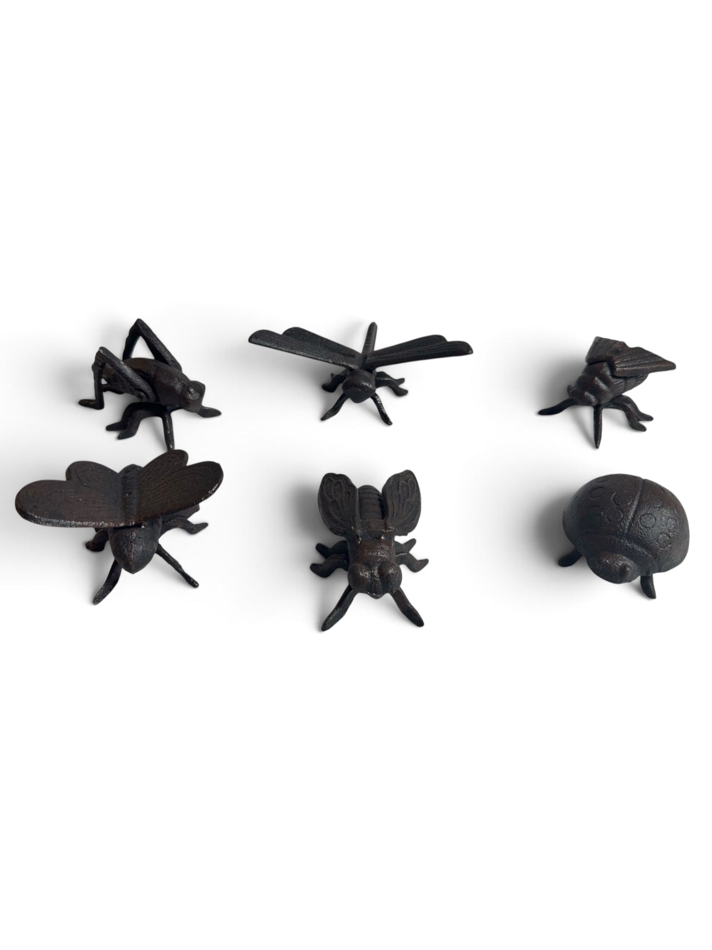 Set of 6 Cast Iron Bugs