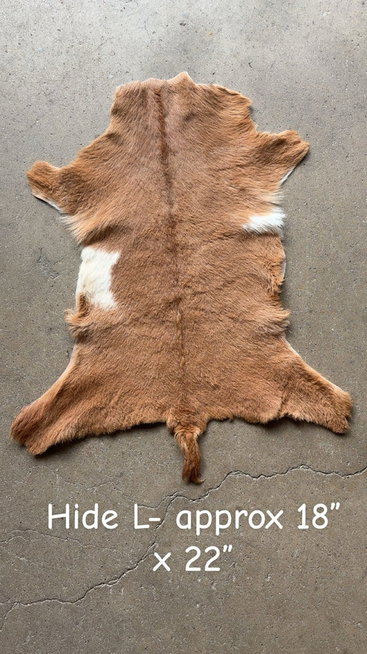 Goat Hide L