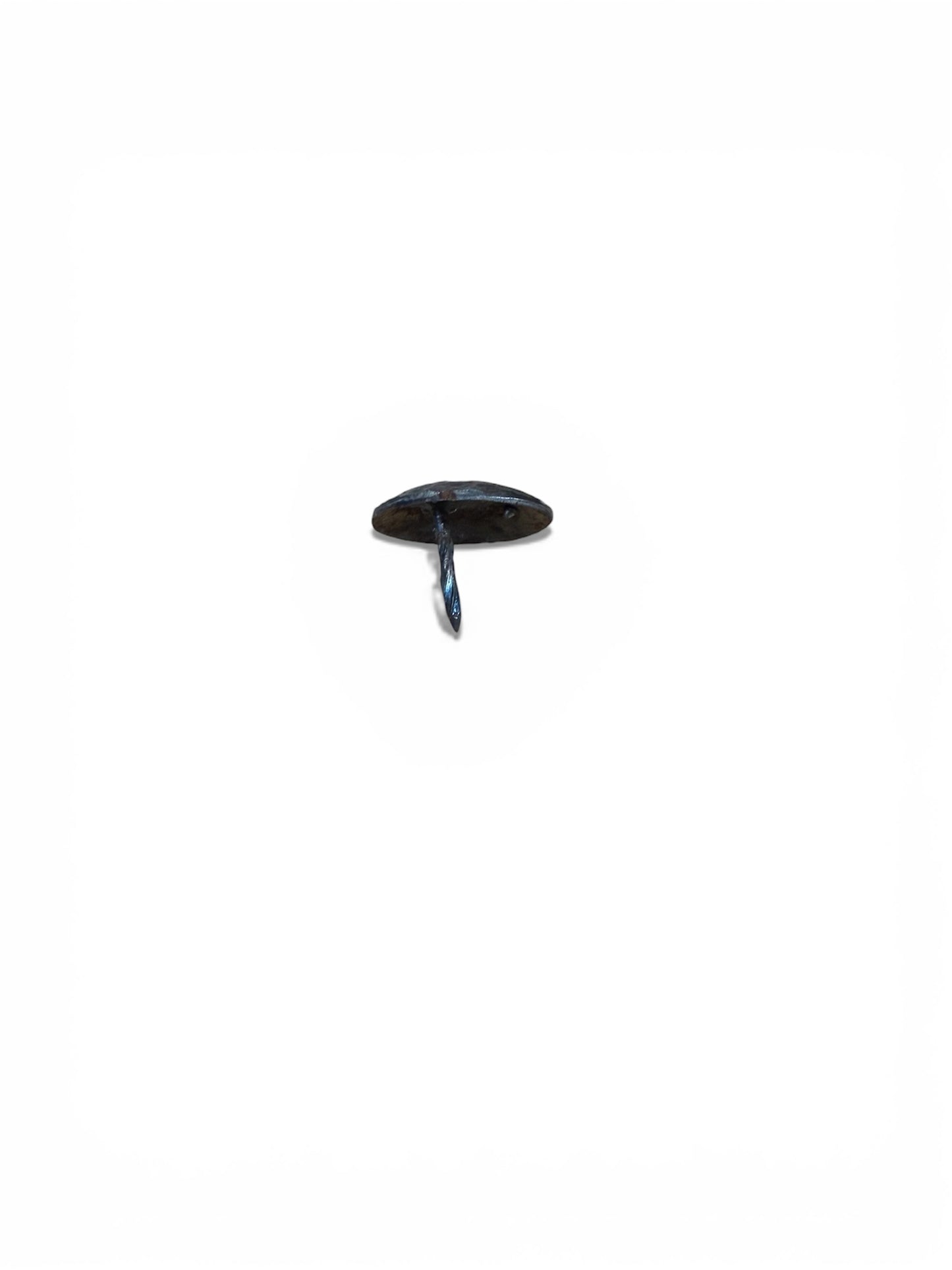 1.25” Hammered Nail