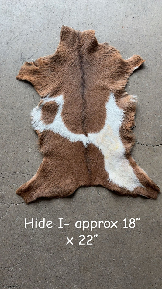 Goat Hide I
