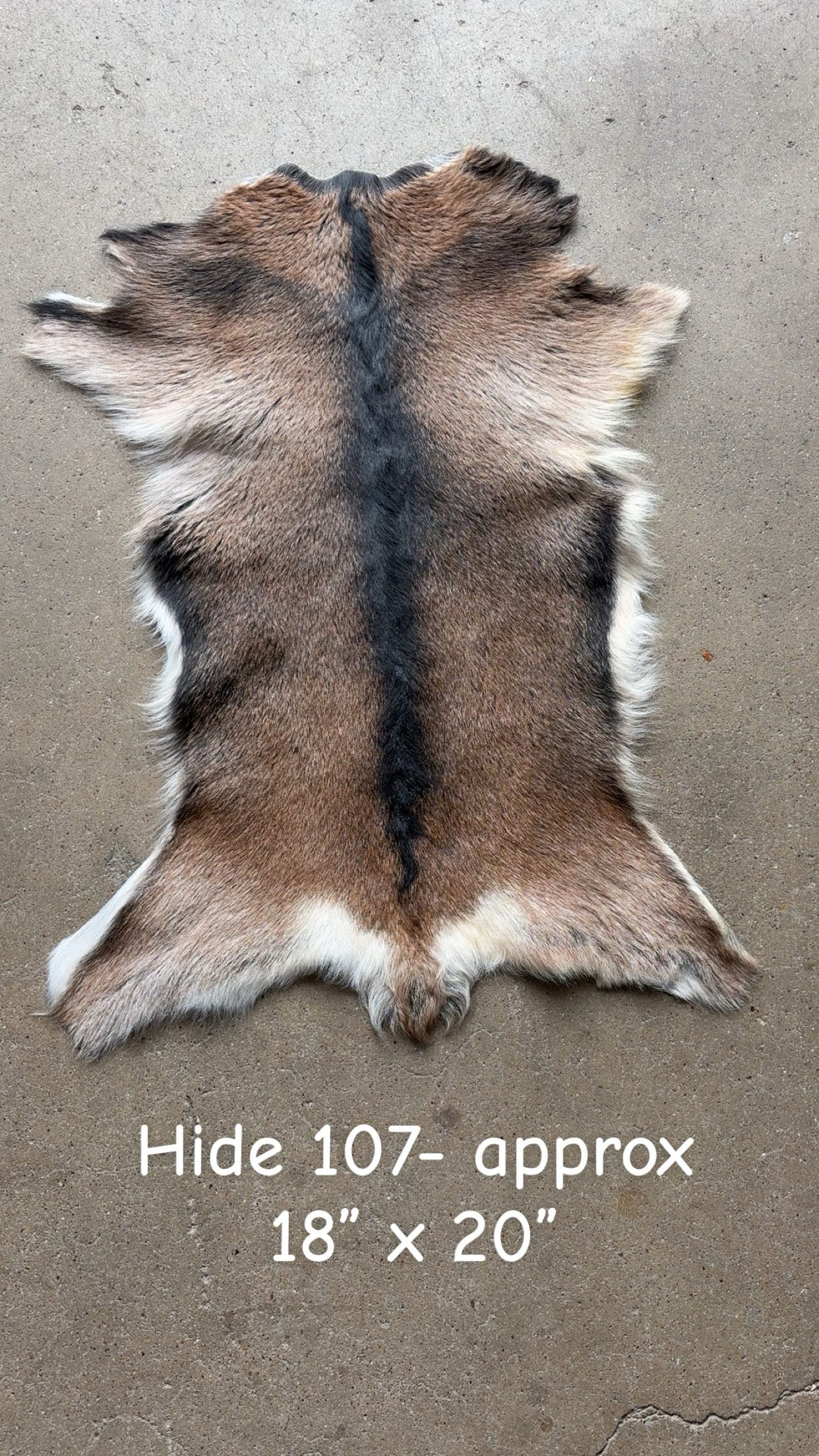Goat Hide 107