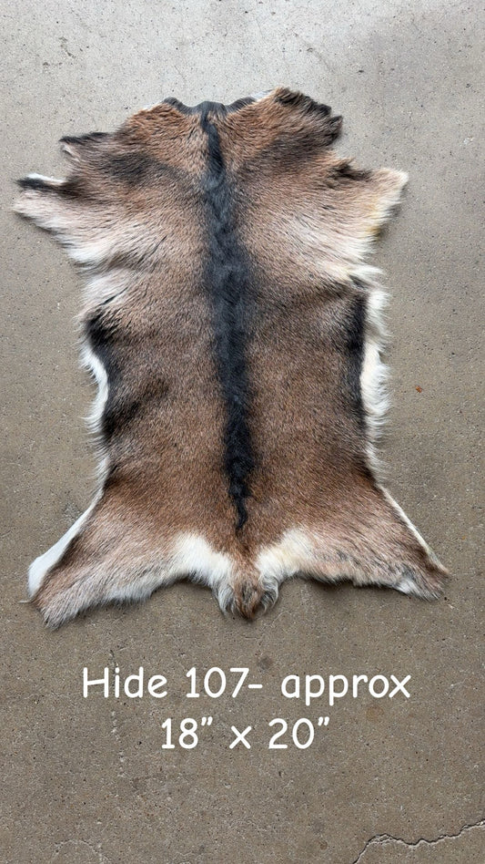 Goat Hide 107