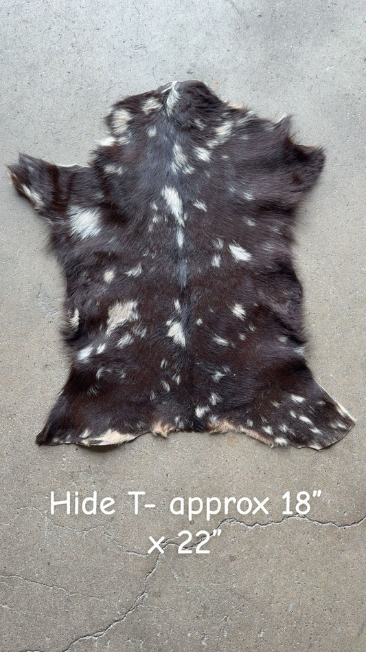 Goat Hide T