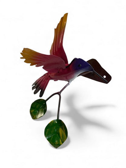 Hummingbird on Branch