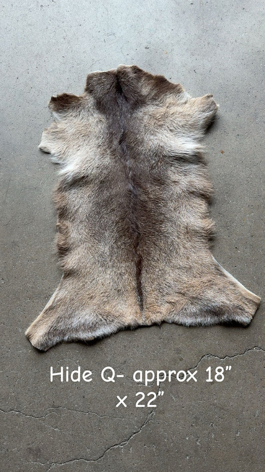 Goat Hide Q
