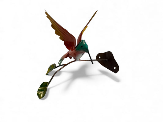 Hummingbird on Branch