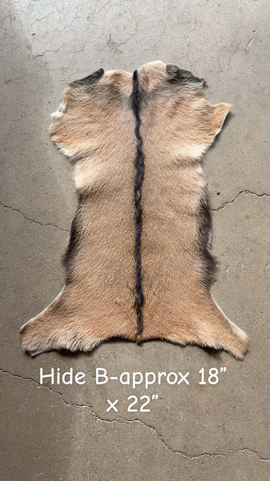 Goat Hide B