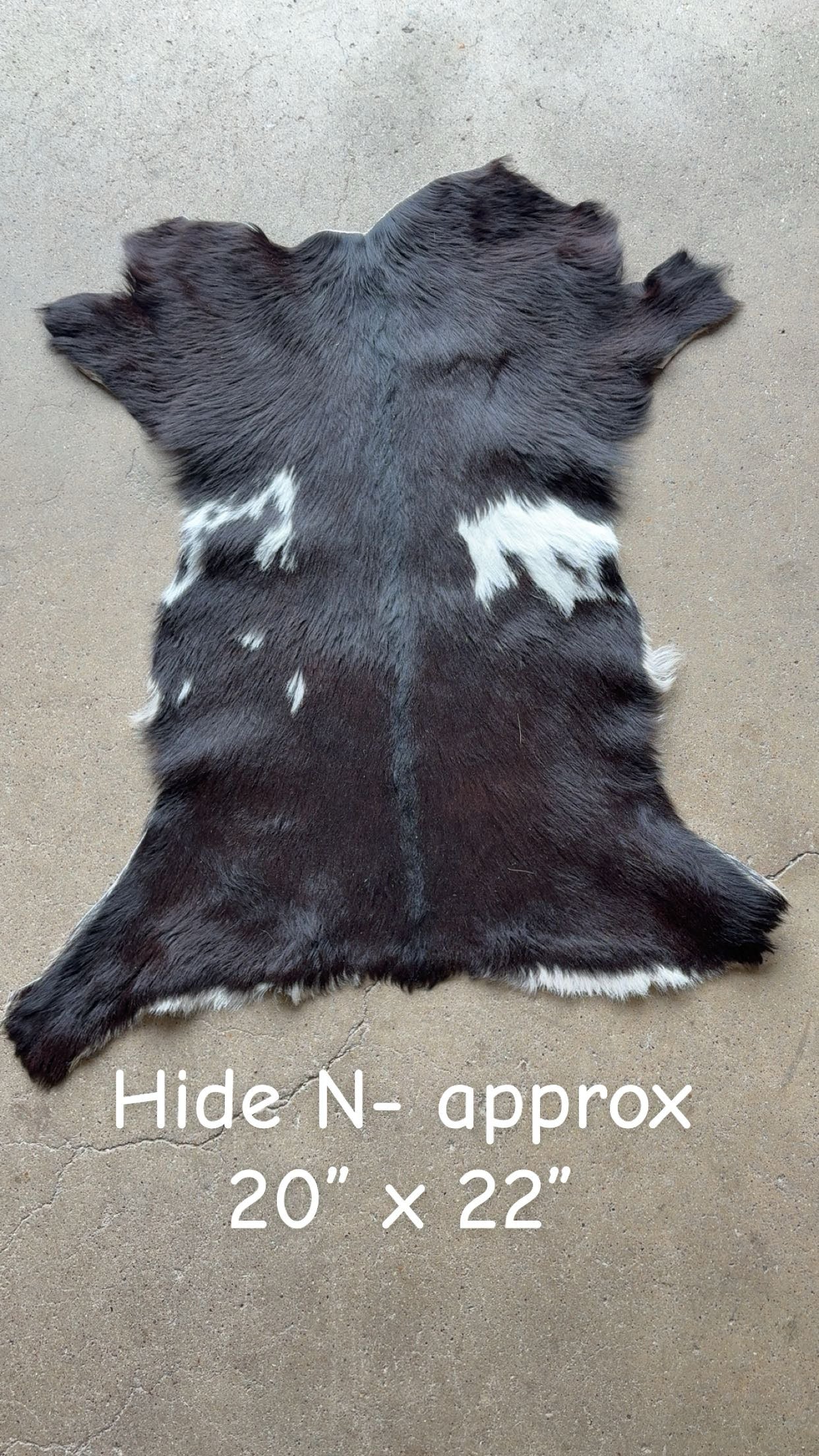 Goat Hide N
