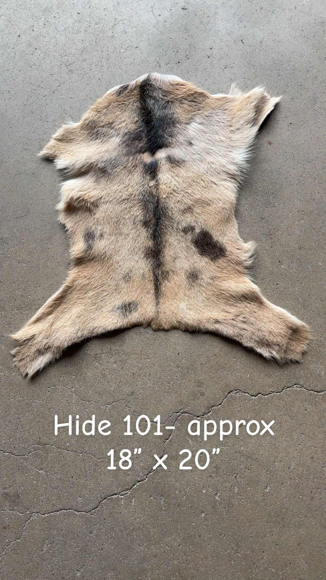 Goat Hide 101