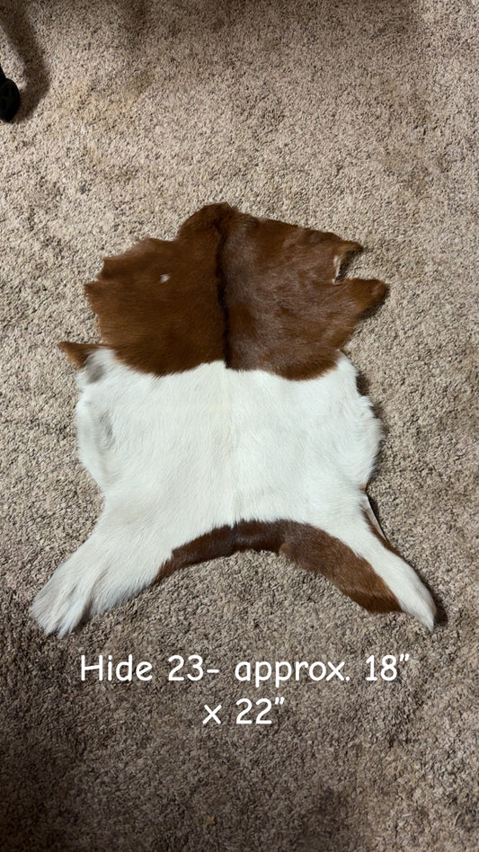 Goat Hide 23