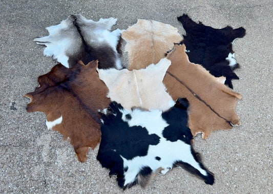 Assorted Small Goat Hide