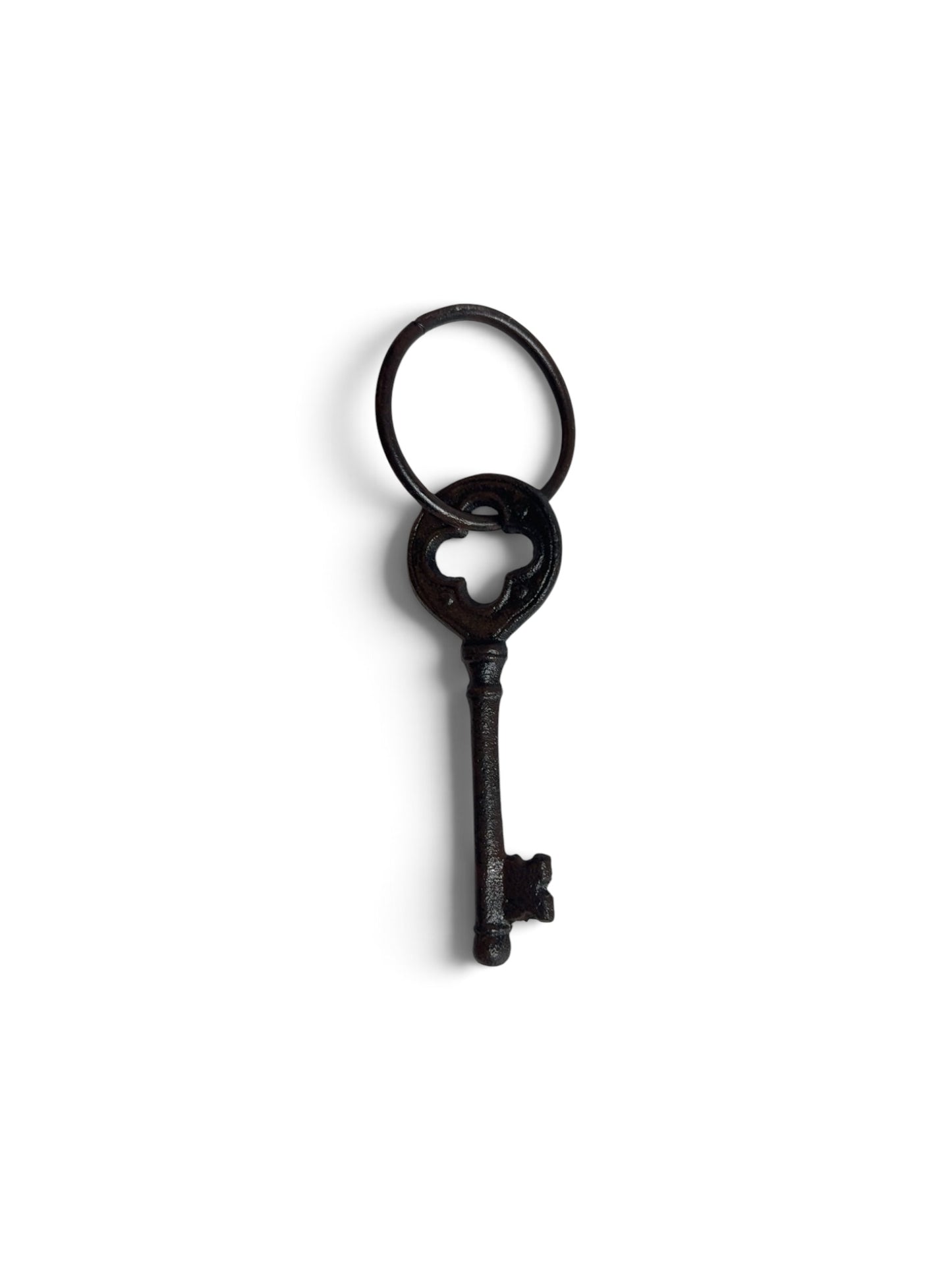 Single Key On Ring (#82-676)
