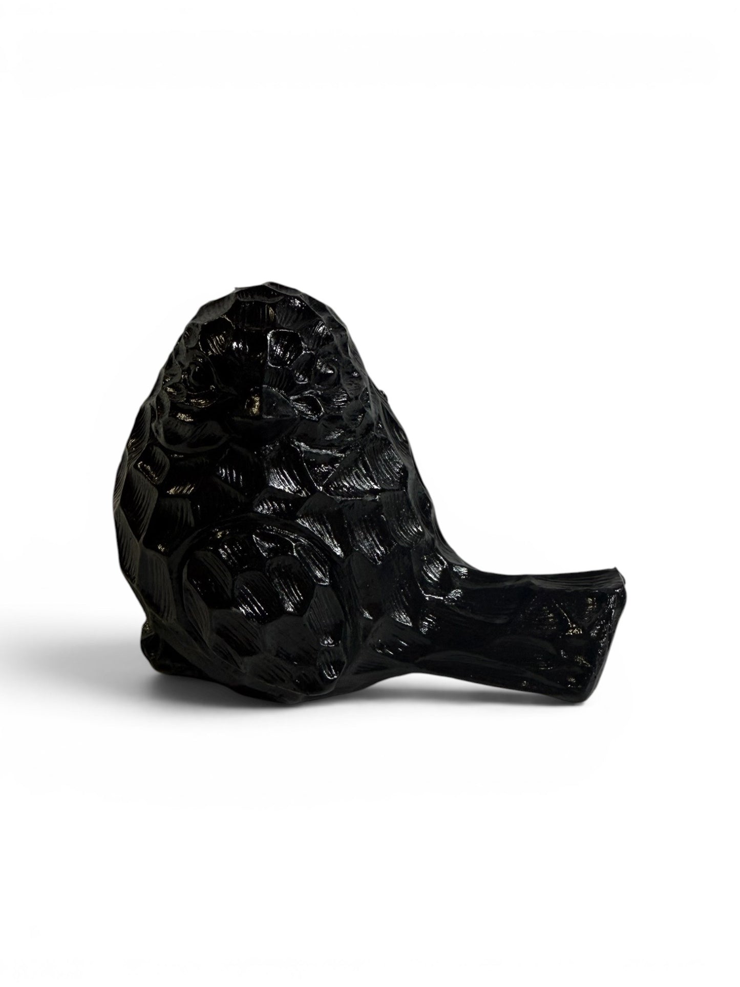Black Self Bird