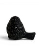 Black Self Bird