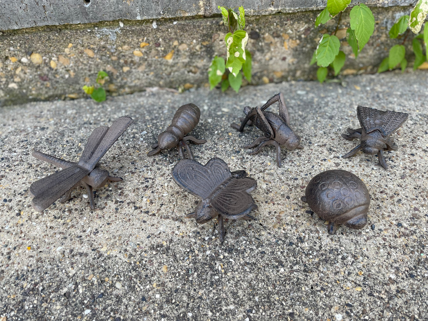 1 Set of Cast Iron Bugs (6 Pieces) #I-096