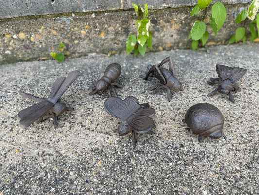 1 Set of Cast Iron Bugs (6 Pieces) #I-096